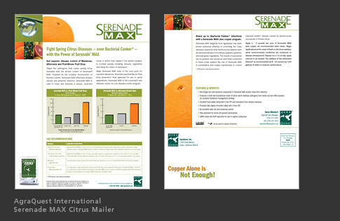 Scripps Memorial Hospital La Jolla Imaging Center Mailers