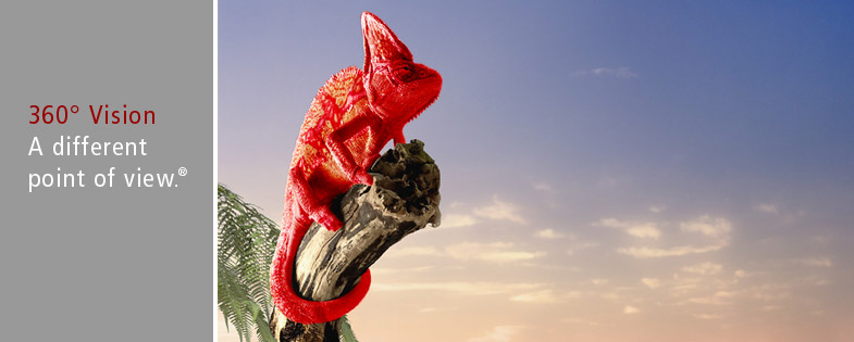 360&deg; Vision allows us to keep a close eye on the marketplace to scope out the best position for your brand.